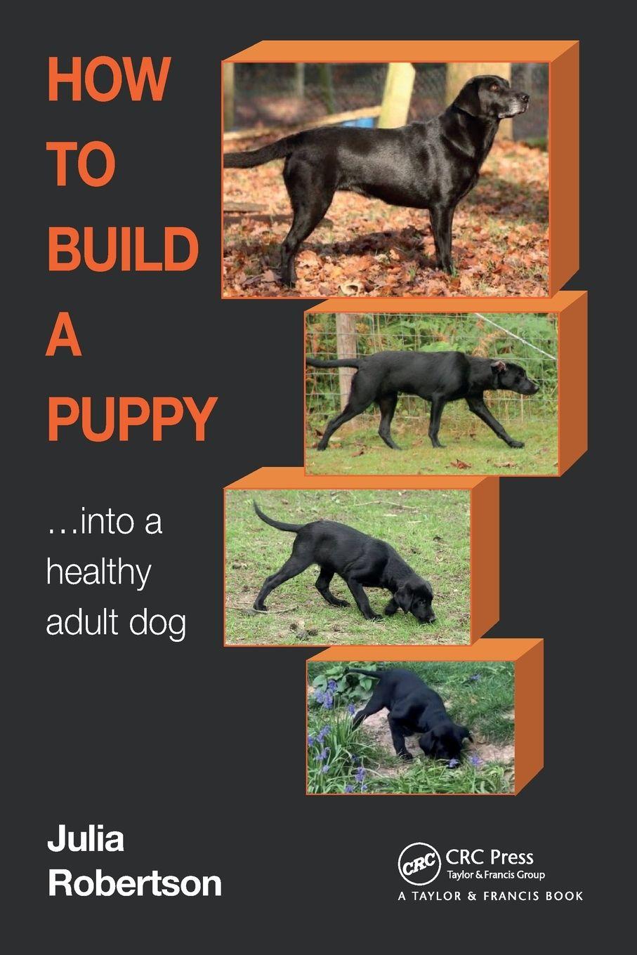 Vorderes Coverbild How to Build a Puppy