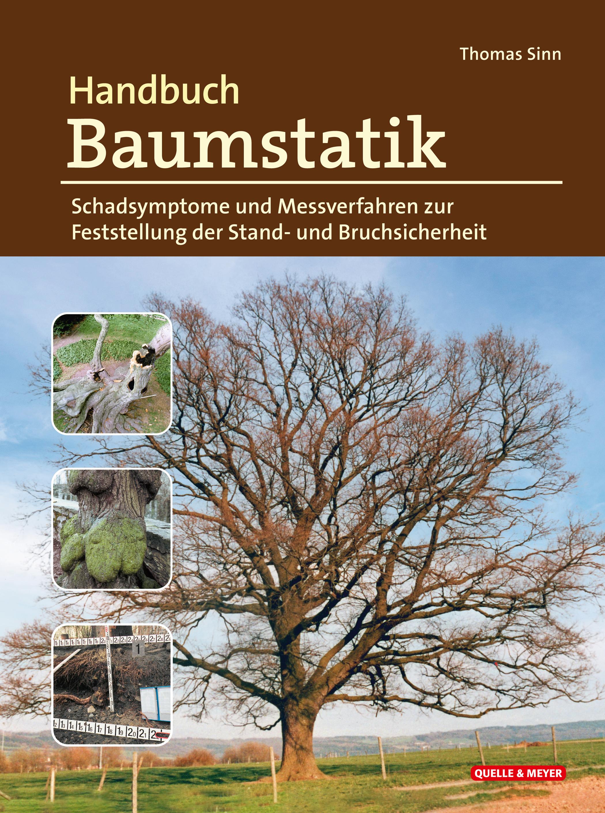 Vorderes Coverbild Handbuch Baumstatik