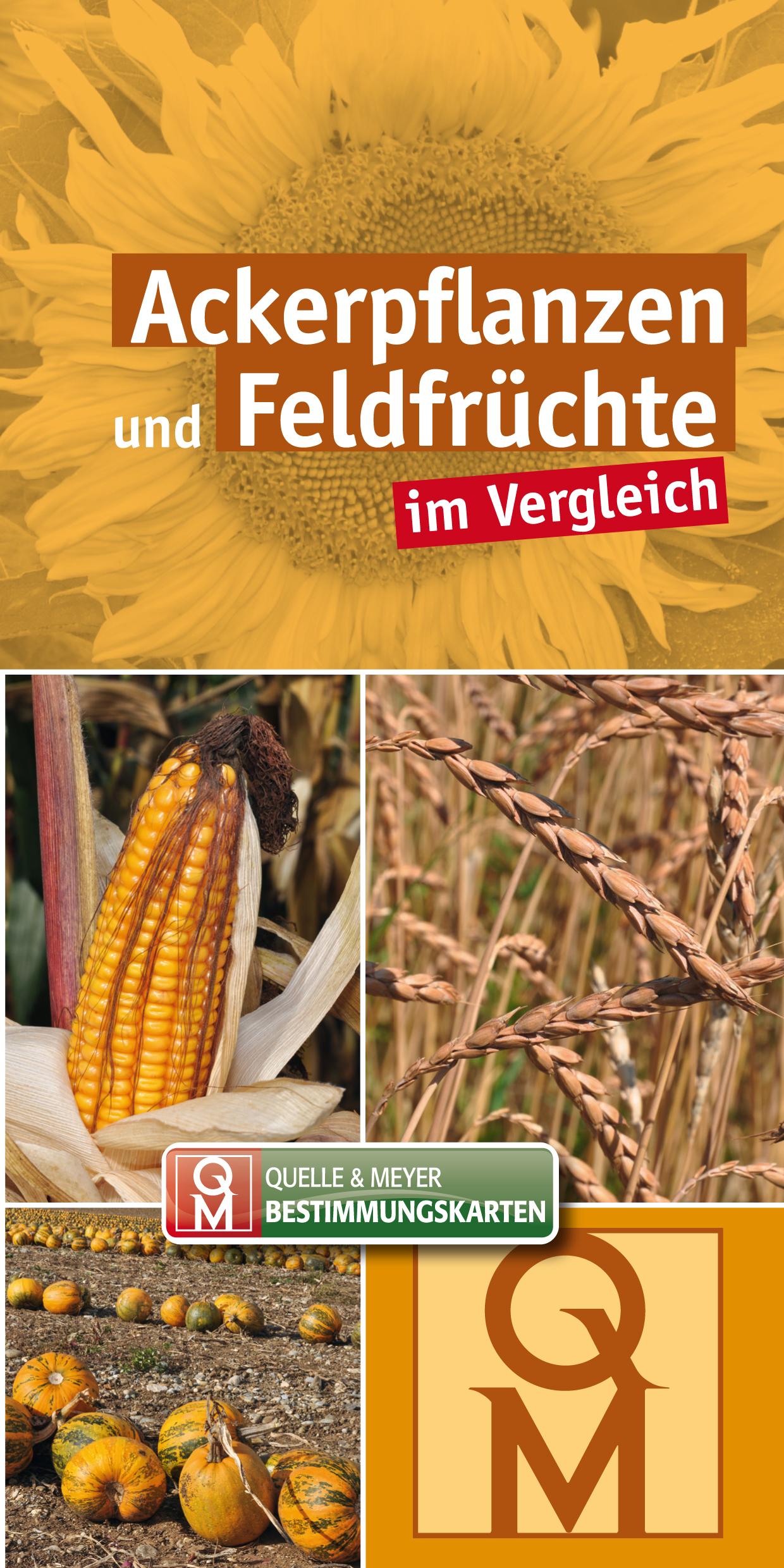 Vorderes Coverbild Ackerpflanzen und Feldfrüchte