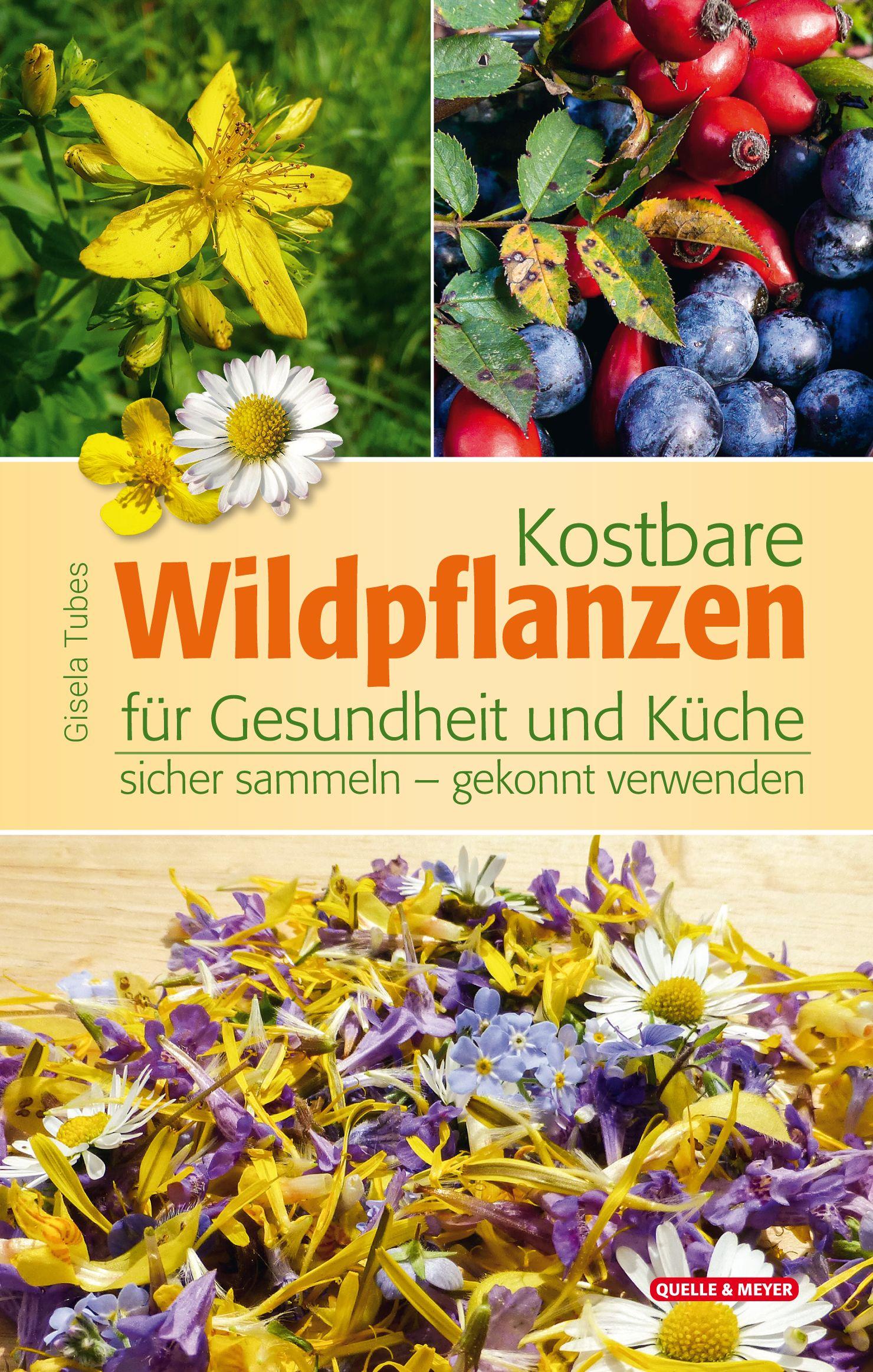 Vorderes Coverbild Kostbare Wildpflanzen für Gesundheit und Küche