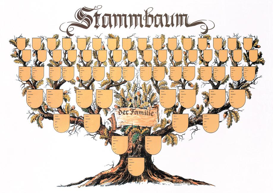 Vorderes Coverbild Stammbaum Schmuckbild