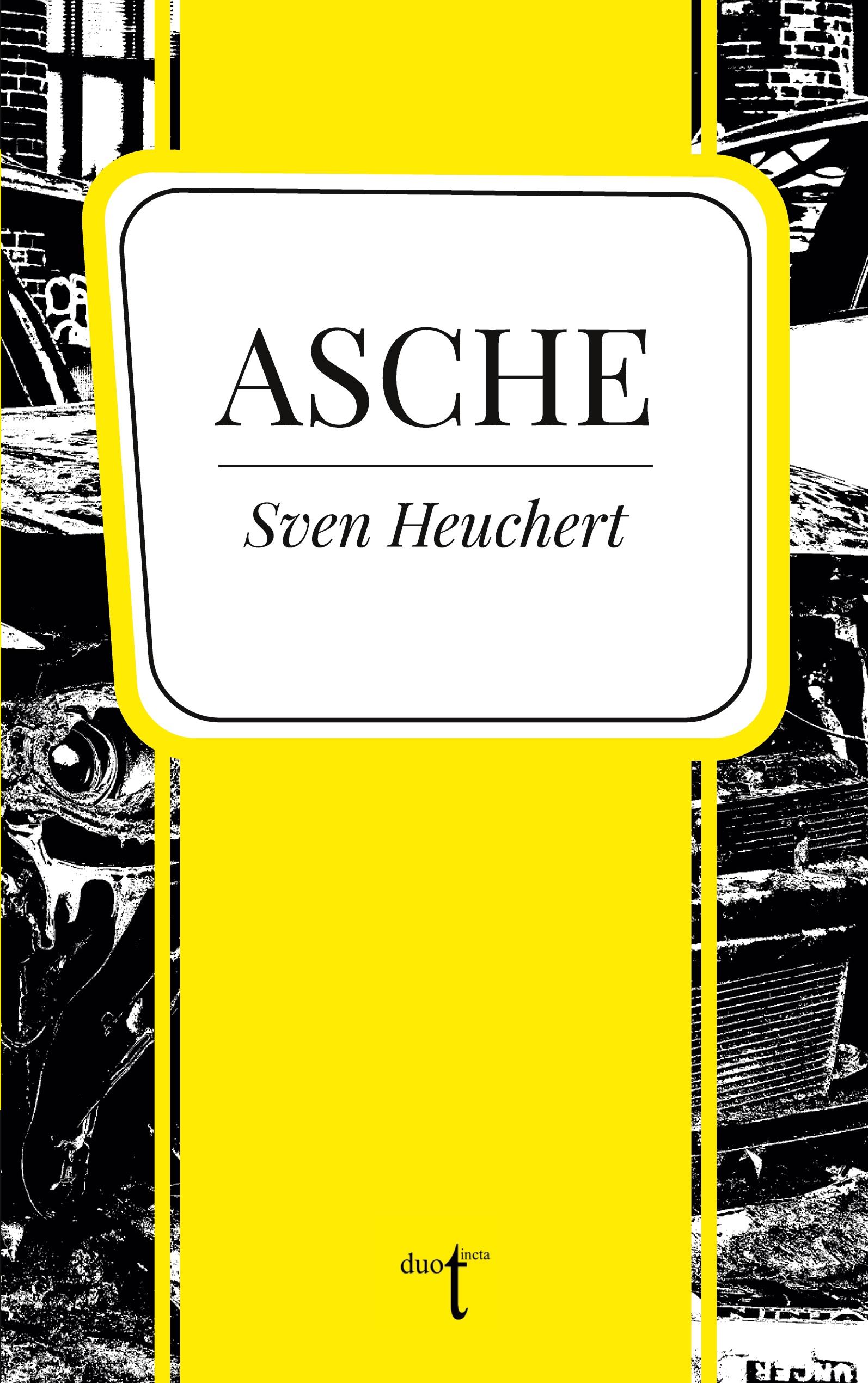 Vorderes Coverbild Asche