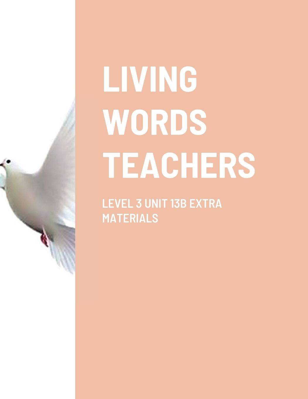 Vorderes Coverbild LIVING WORDS TEACHERS LEVEL 3 UNIT 13B EXTRA MATERIALS