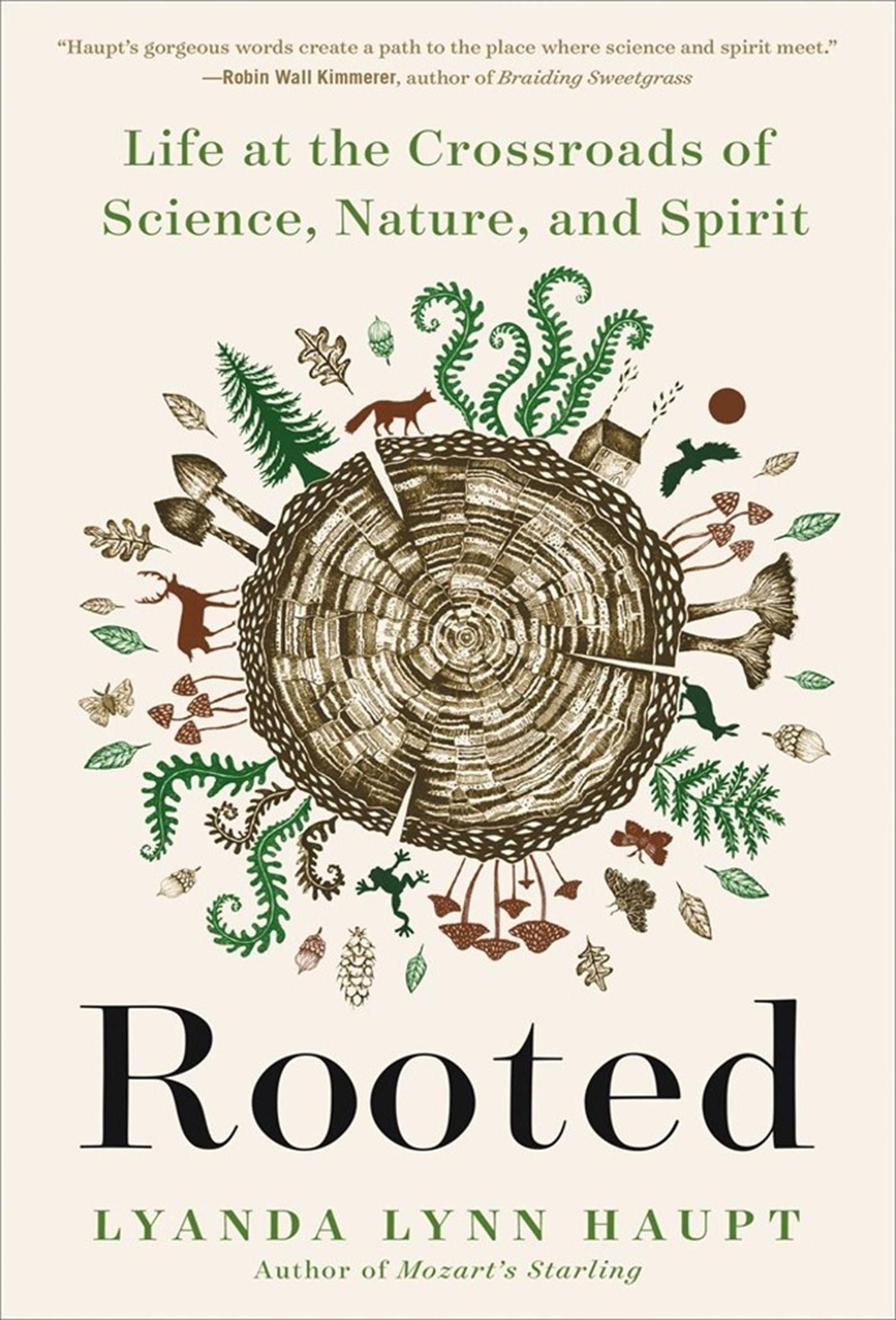 Vorderes Coverbild Rooted