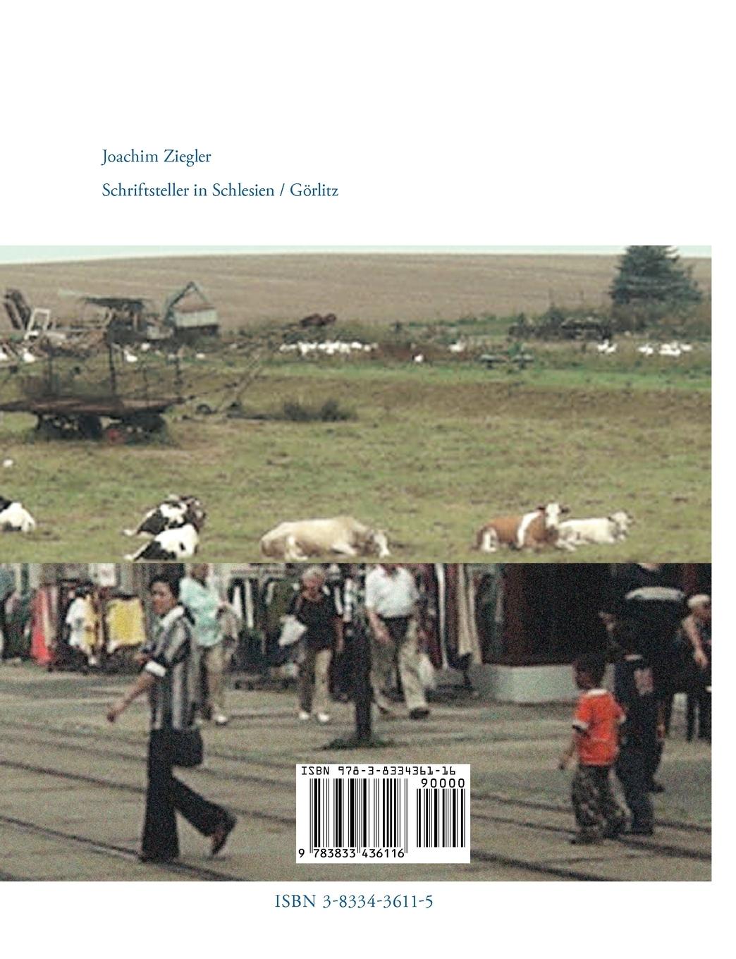 Rückseitencover Die Suche des Bekloppten Teil 2