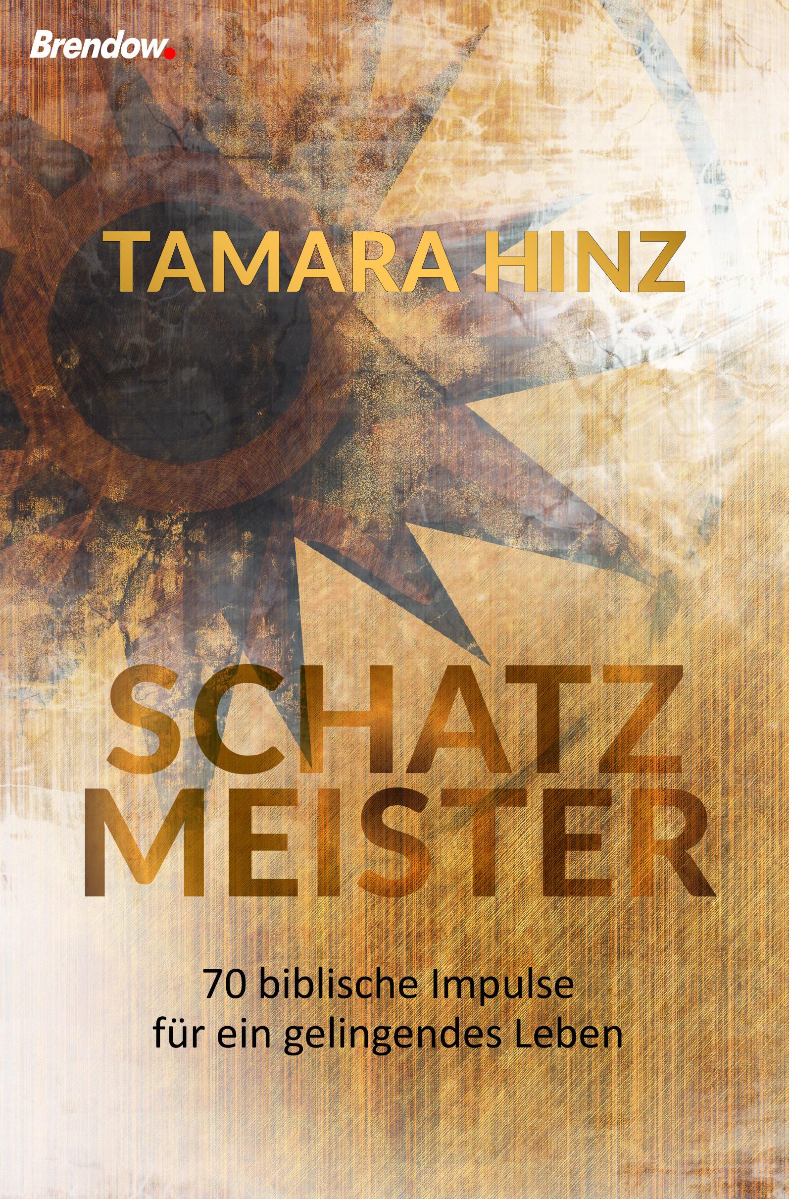 Vorderes Coverbild Schatzmeister