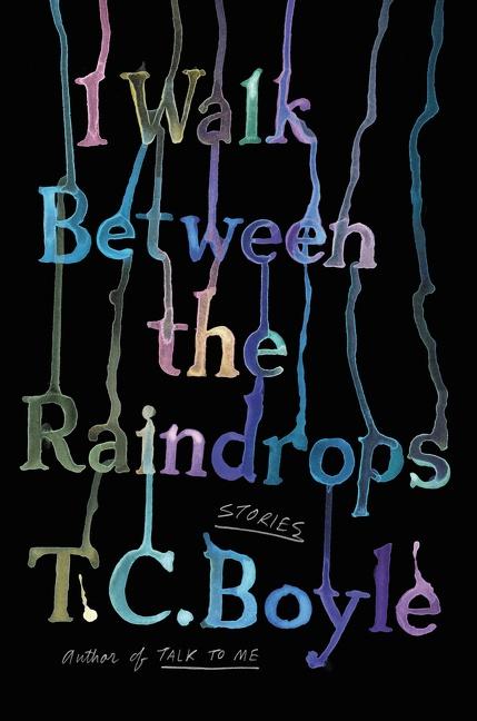 Vorderes Coverbild I Walk Between the Raindrops
