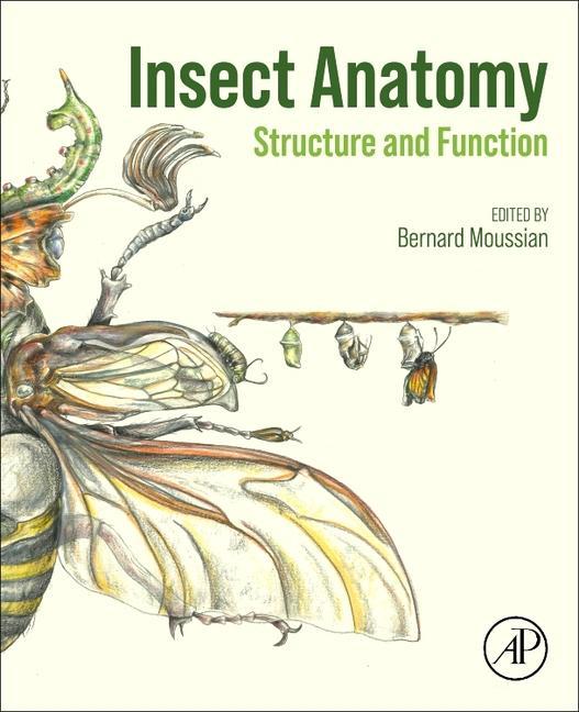 Vorderes Coverbild Insect Anatomy