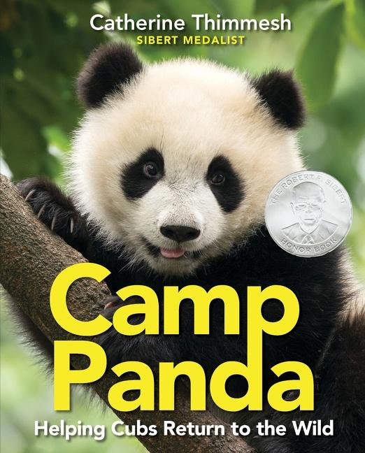 Vorderes Coverbild Camp Panda