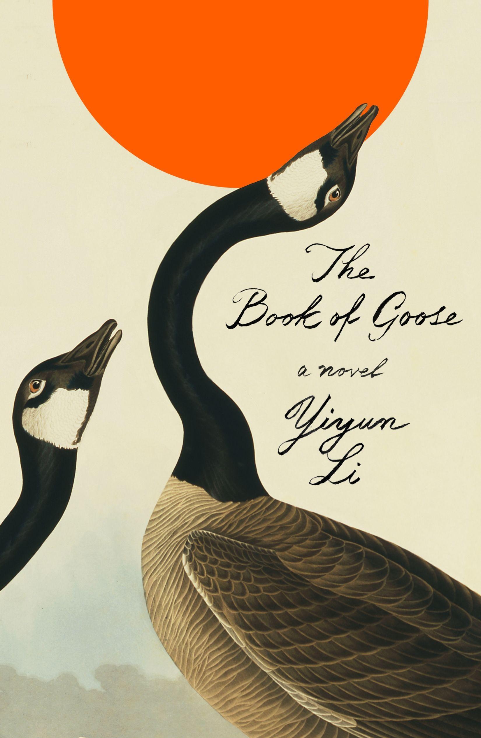 Vorderes Coverbild The Book of Goose