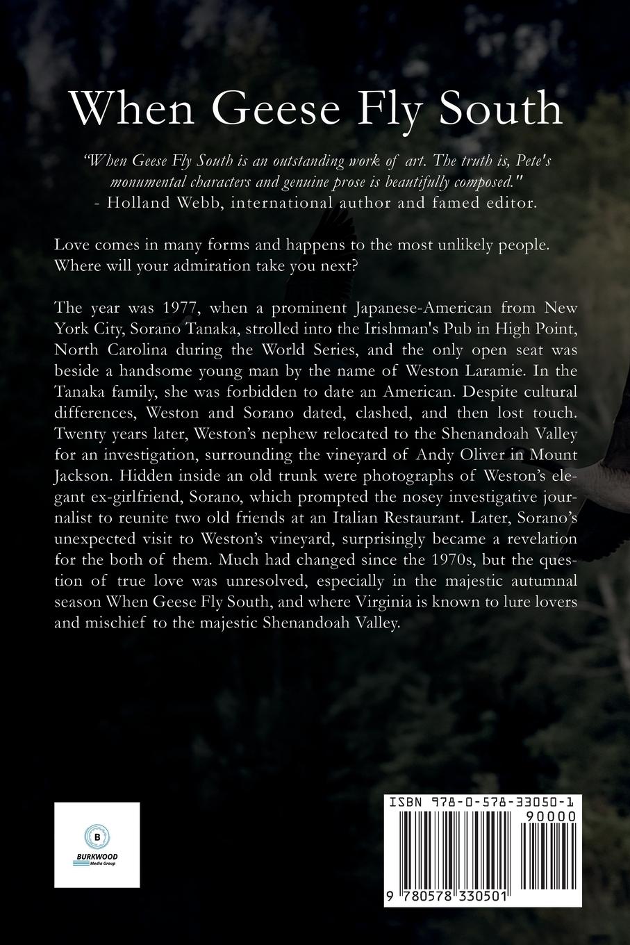 Rückseitencover When Geese Fly South