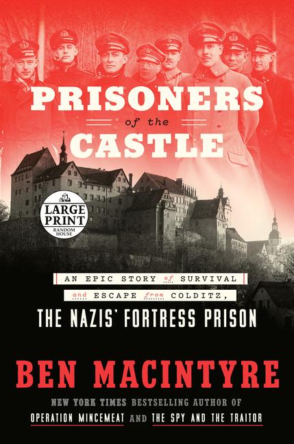 Vorderes Coverbild Prisoners of the Castle