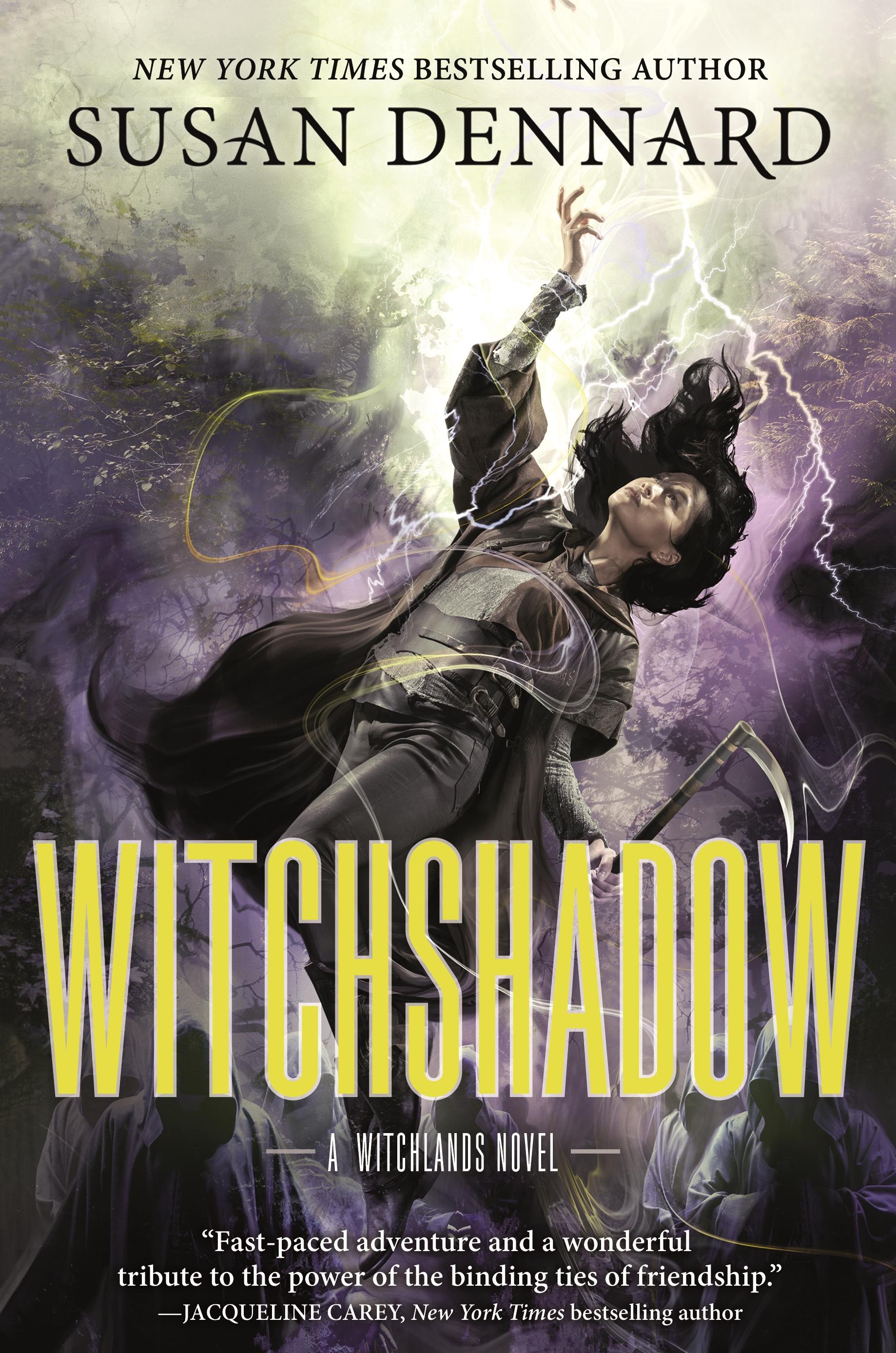 Vorderes Coverbild Witchshadow