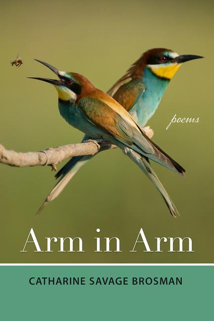 Vorderes Coverbild Arm in Arm
