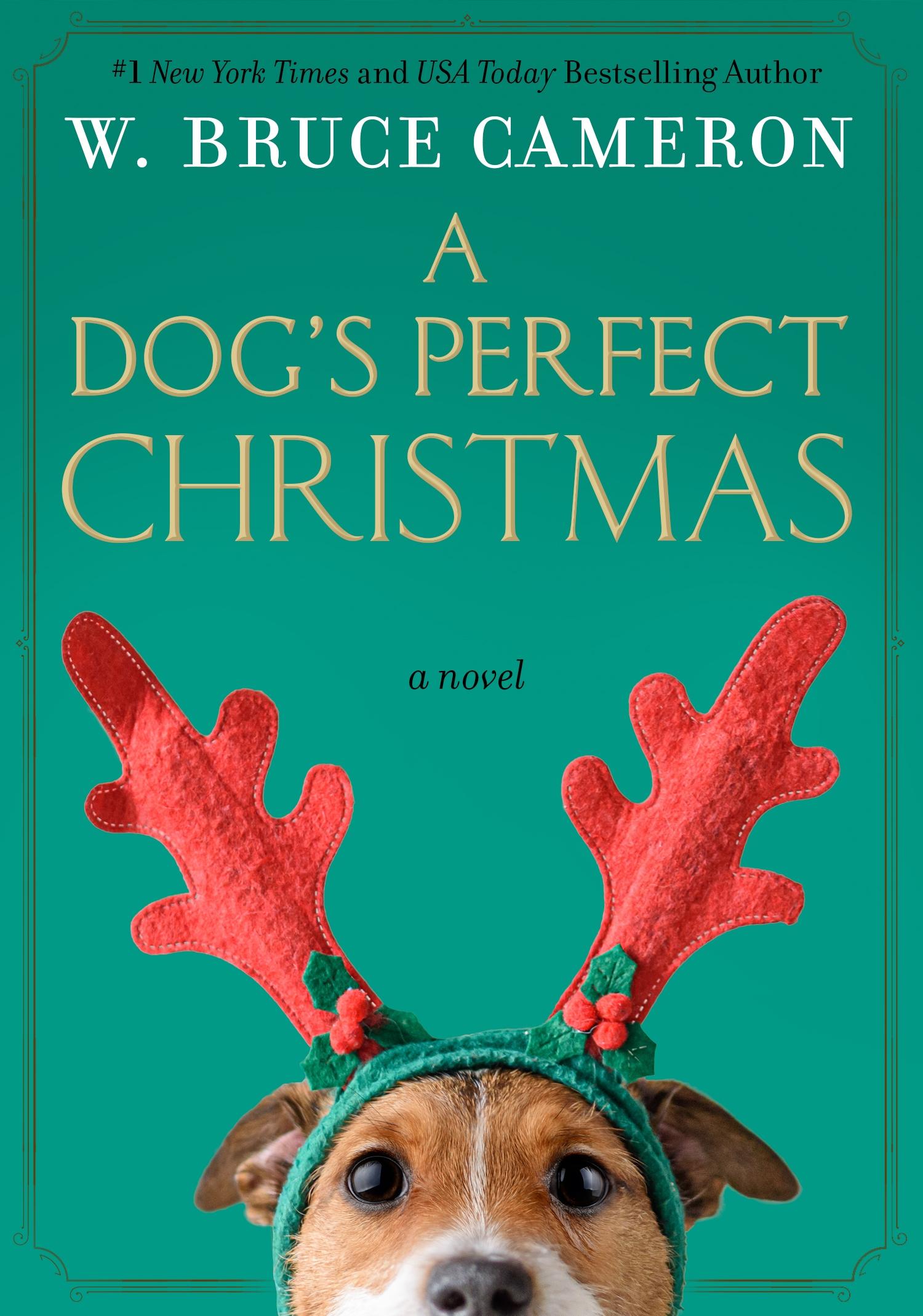 Vorderes Coverbild Dog's Perfect Christmas
