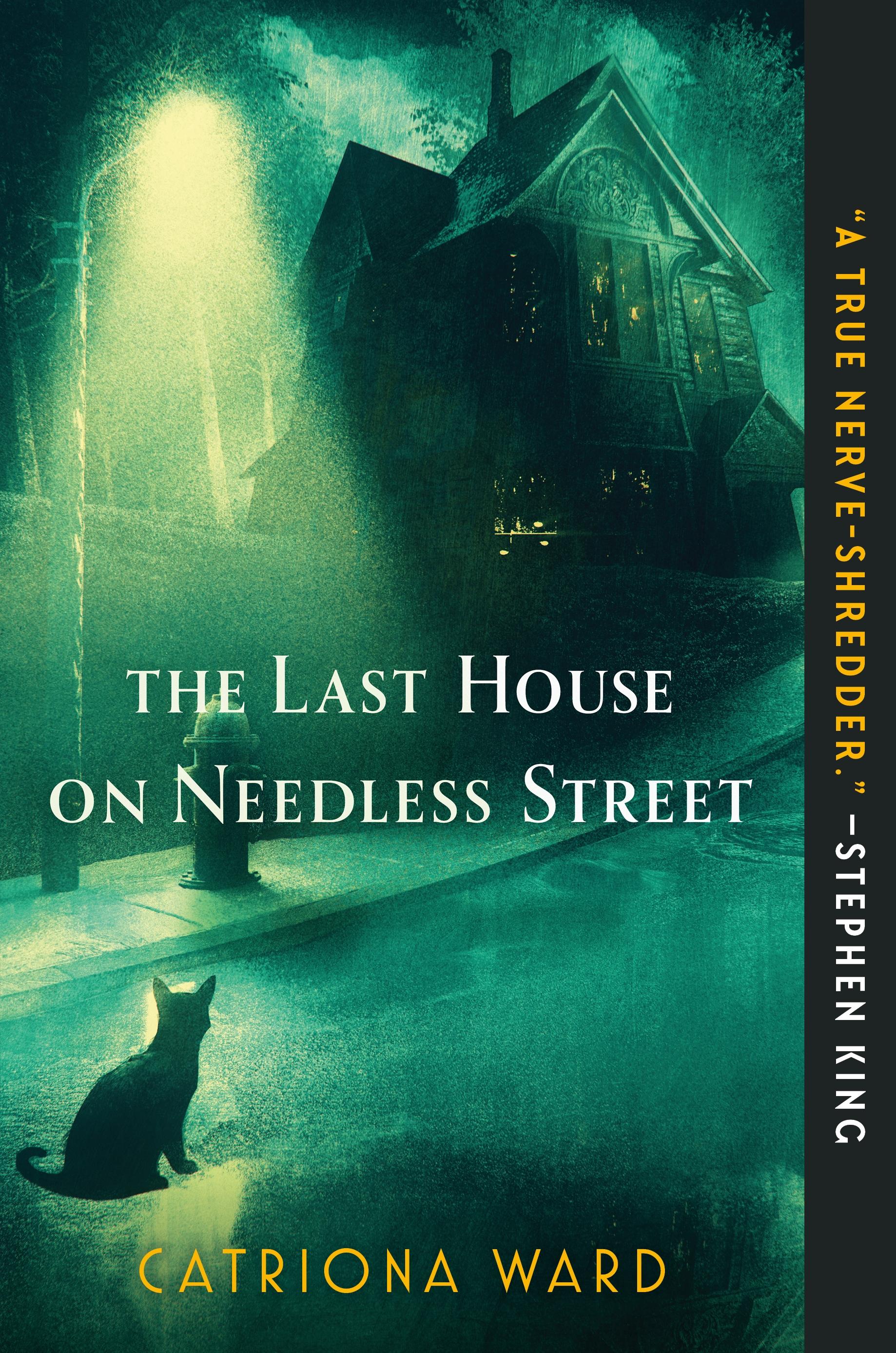 Vorderes Coverbild The Last House on Needless Street