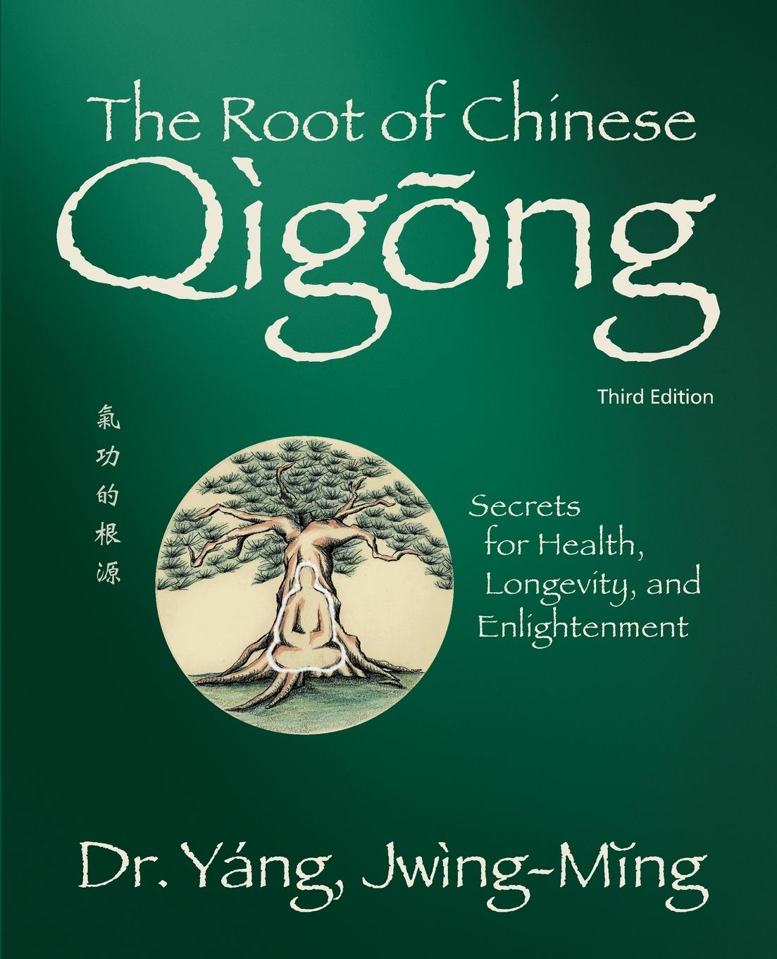 Vorderes Coverbild The Root of Chinese Qigong