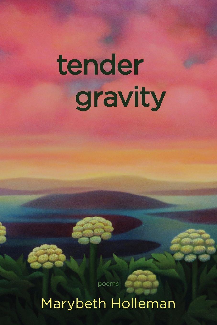 Vorderes Coverbild Tender Gravity