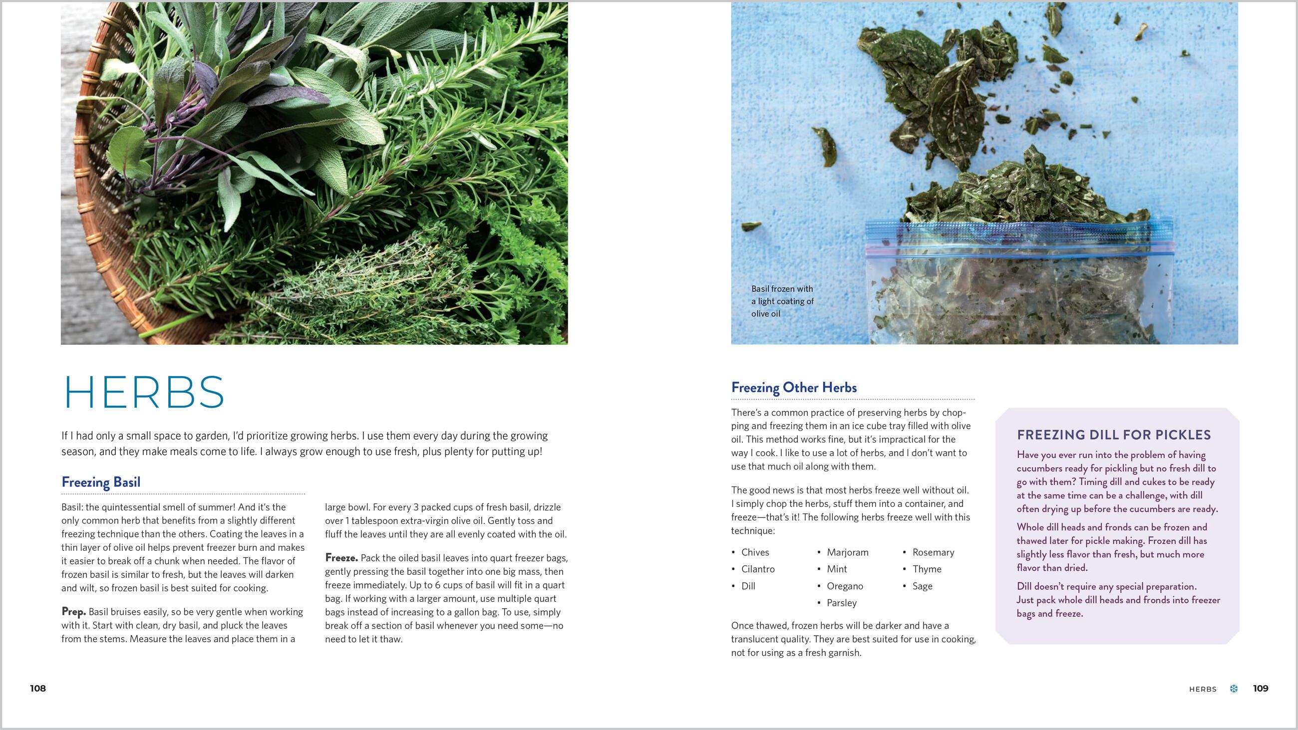 Beispielinhalt (Bild) Freeze Fresh