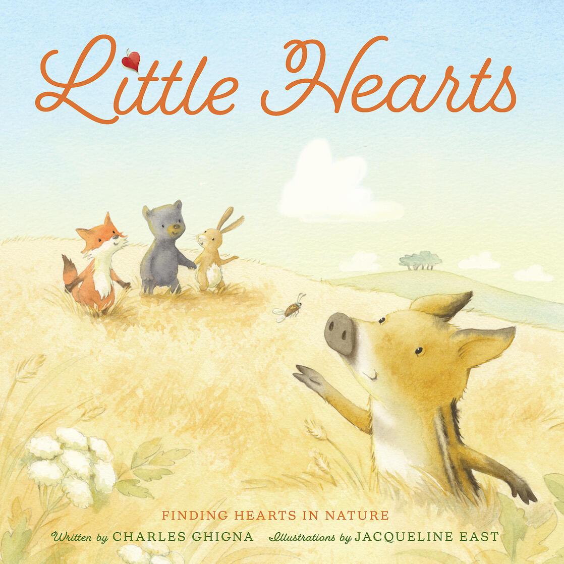Vorderes Coverbild Little Hearts