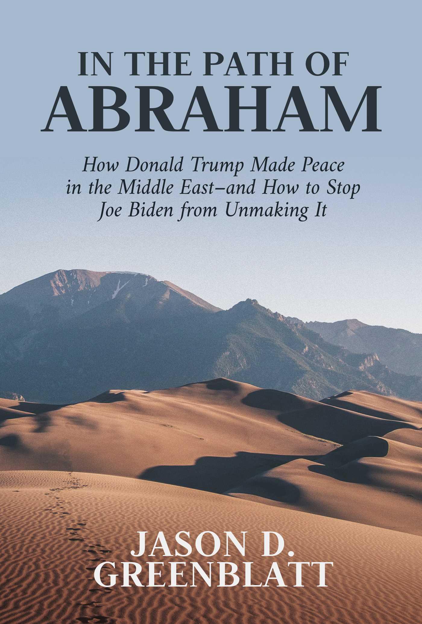 Vorderes Coverbild In the Path of Abraham