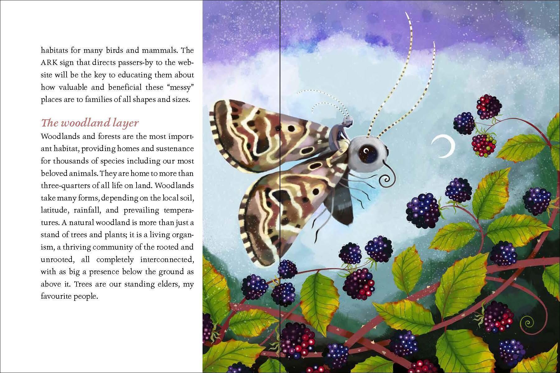 Beispielinhalt (Bild) We Are the Ark