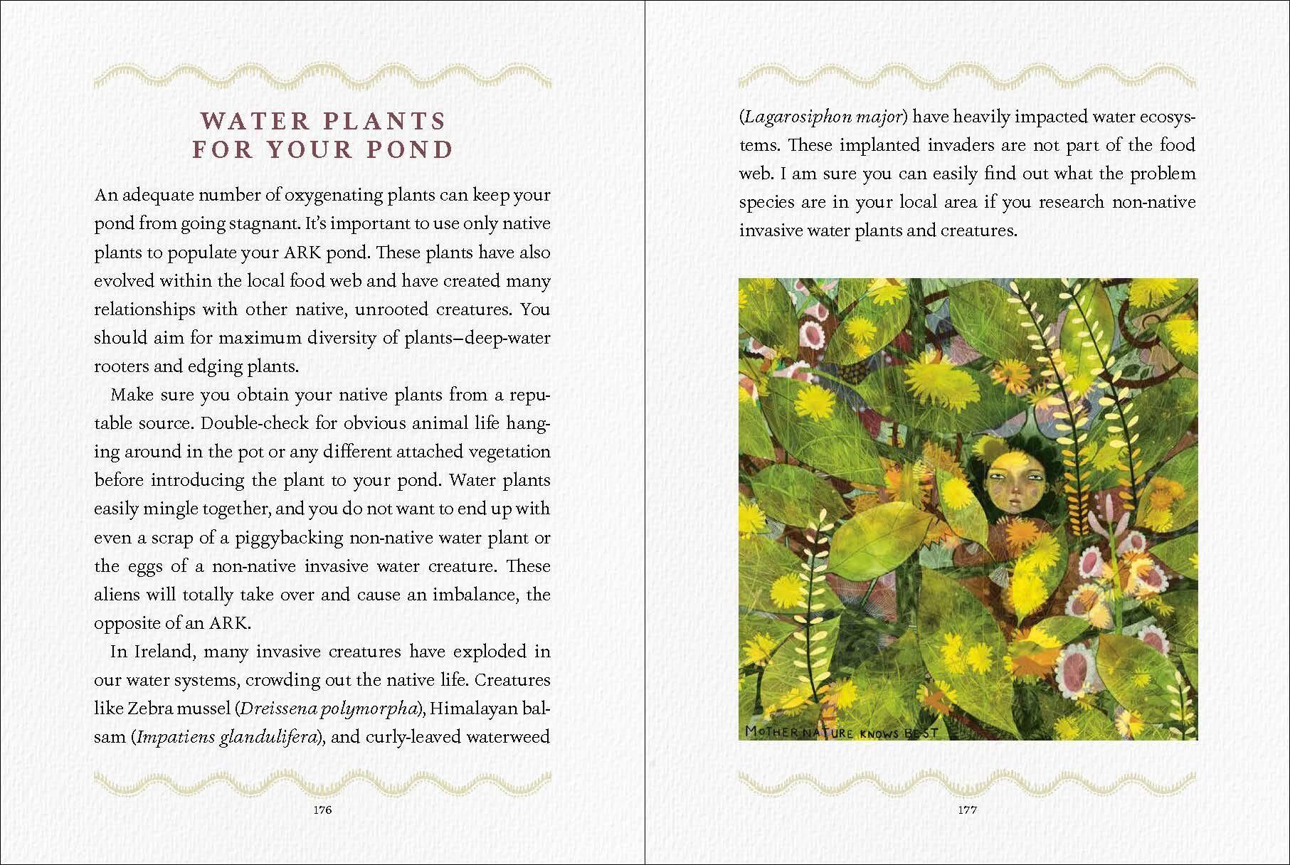 Beispielinhalt (Bild) We Are the Ark