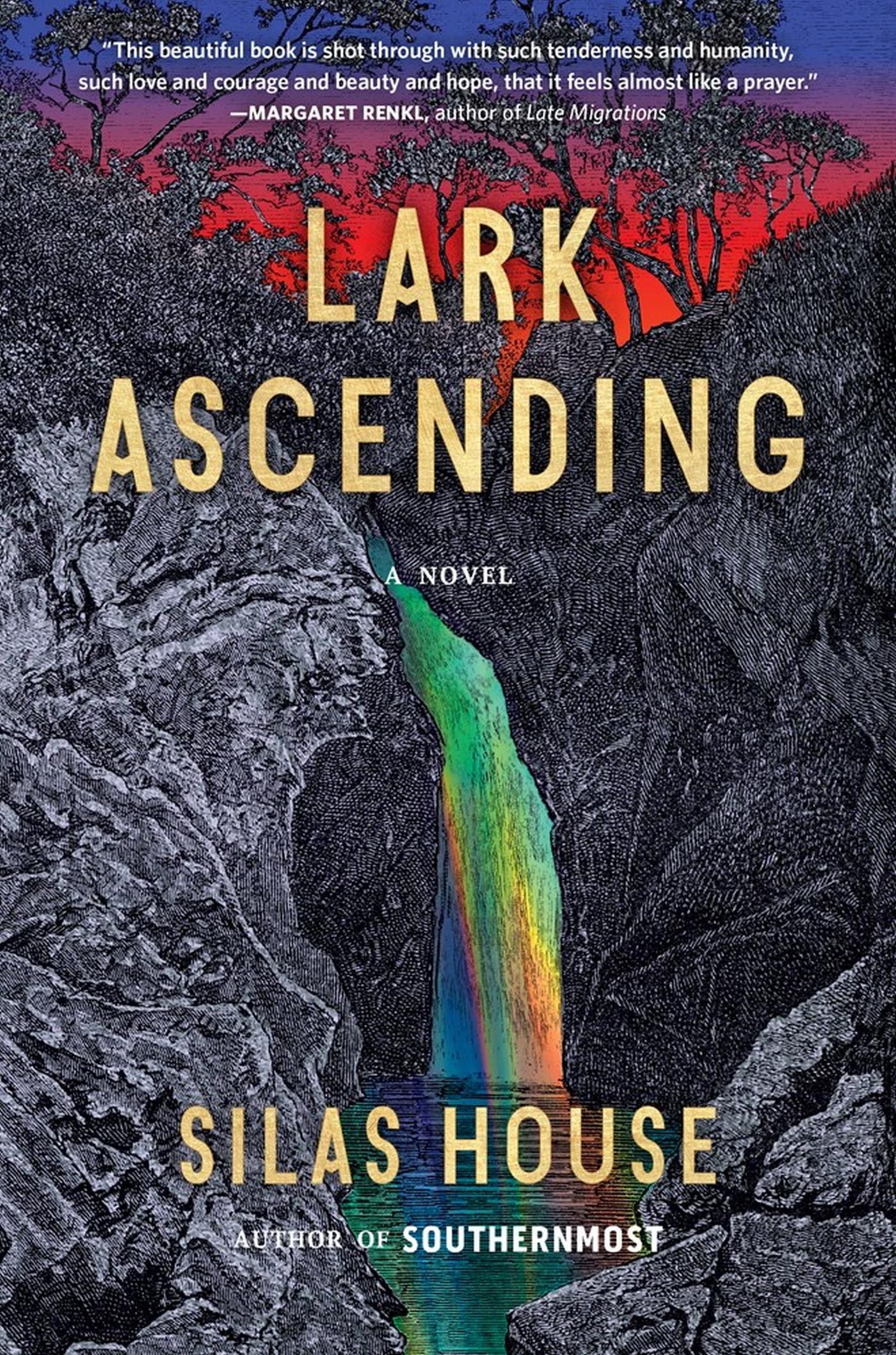 Vorderes Coverbild Lark Ascending