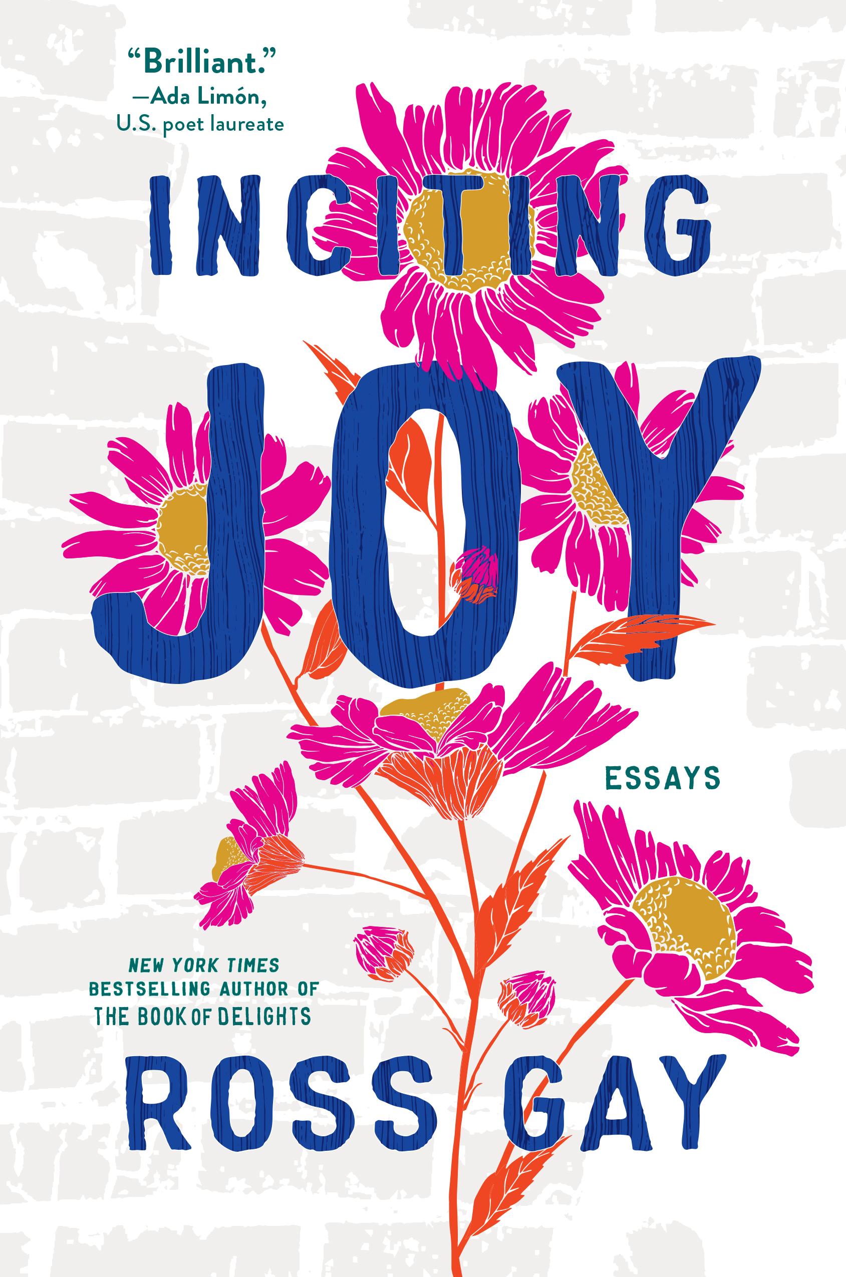 Vorderes Coverbild Inciting Joy