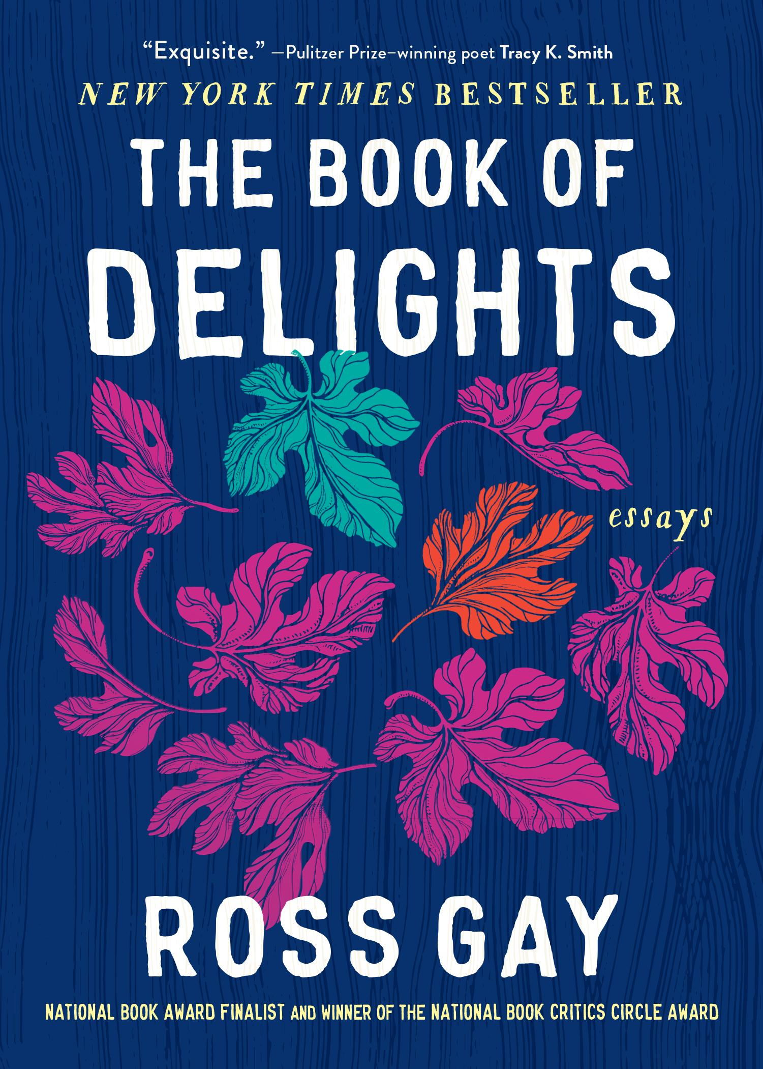 Vorderes Coverbild The Book of Delights
