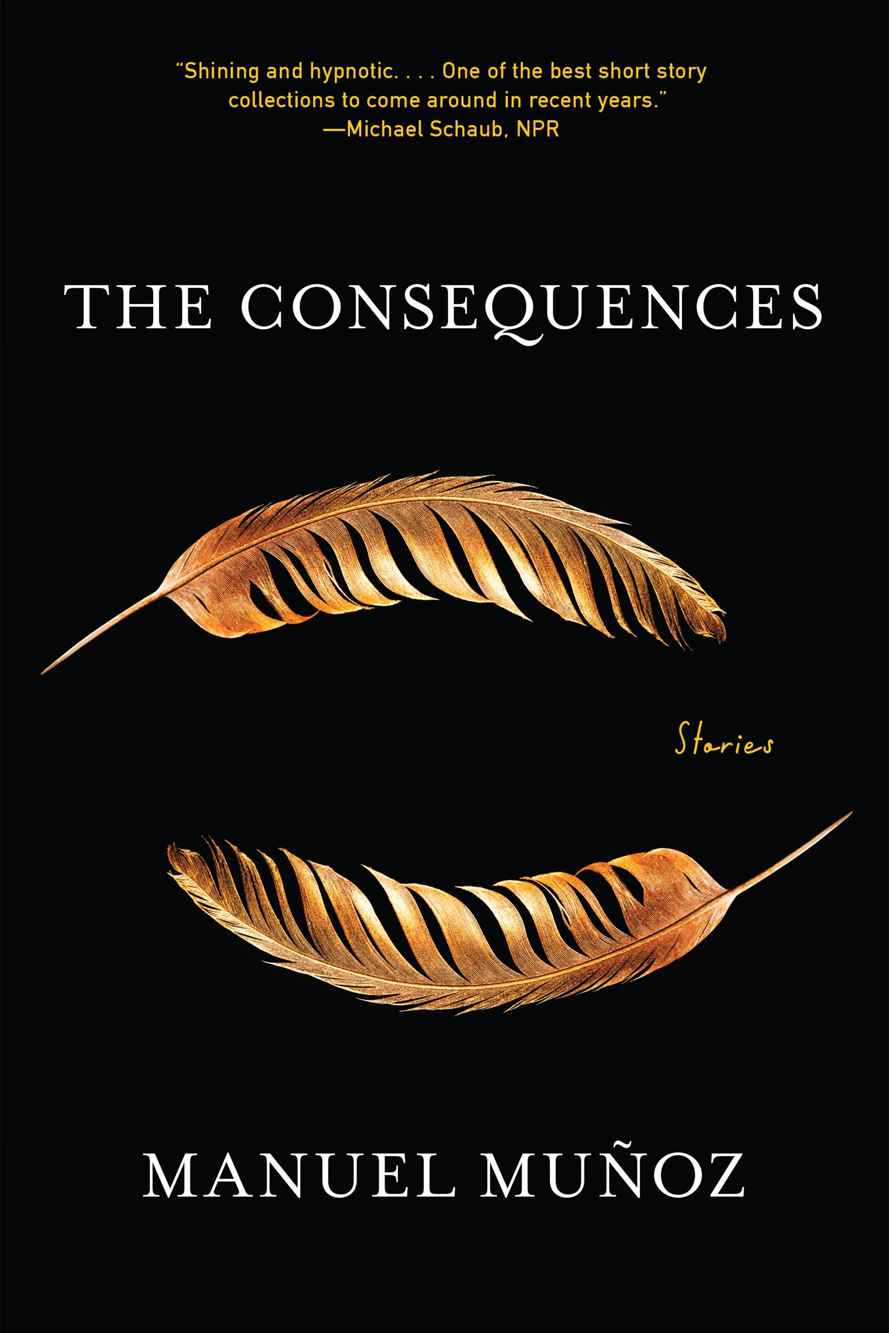 Vorderes Coverbild Consequences