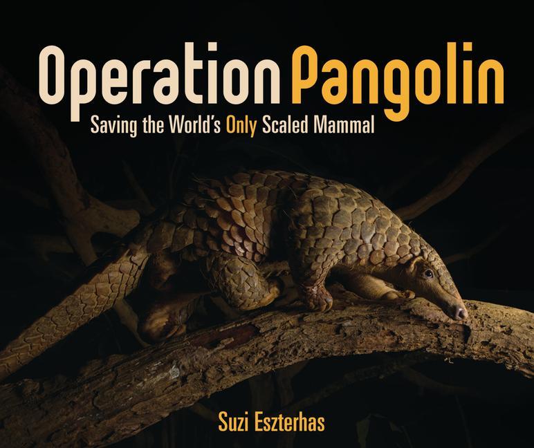 Vorderes Coverbild Operation Pangolin