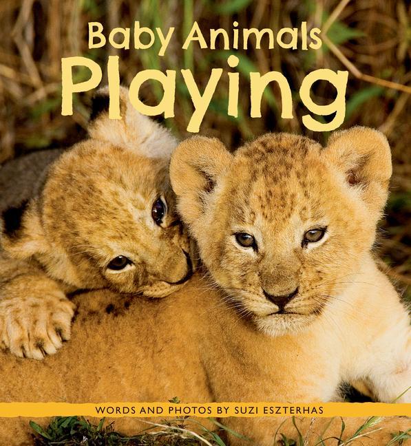 Vorderes Coverbild Baby Animals Playing