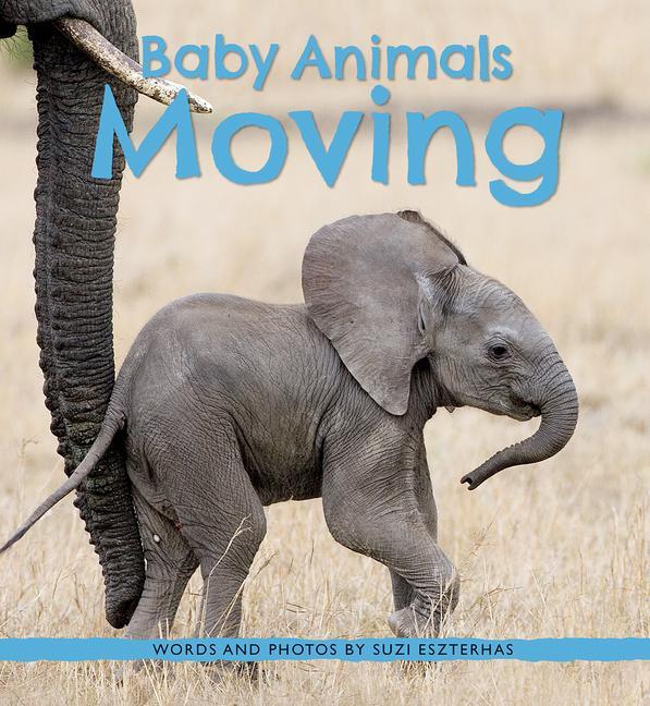 Vorderes Coverbild Baby Animals Moving