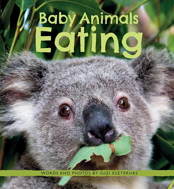 Vorderes Coverbild Baby Animals Eating