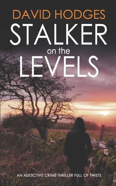 Vorderes Coverbild STALKER ON THE LEVELS an addictive crime thriller full of twists