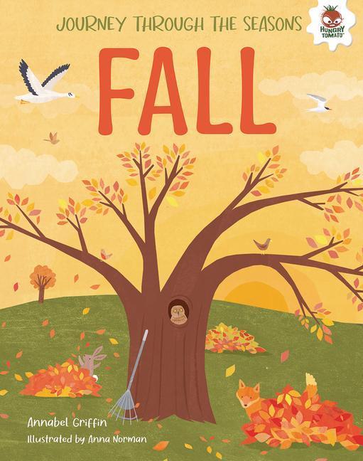 Vorderes Coverbild Fall
