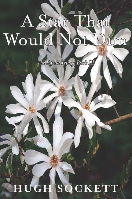 Vorderes Coverbild A Star That Would Not Dim