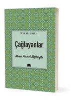 Vorderes Coverbild Caglayanlar
