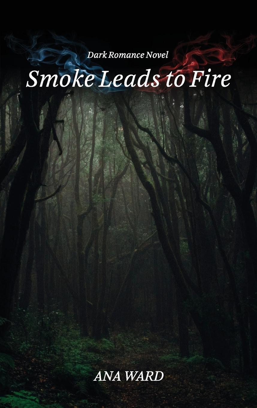 Vorderes Coverbild SMOKE LEADS TO FIRE