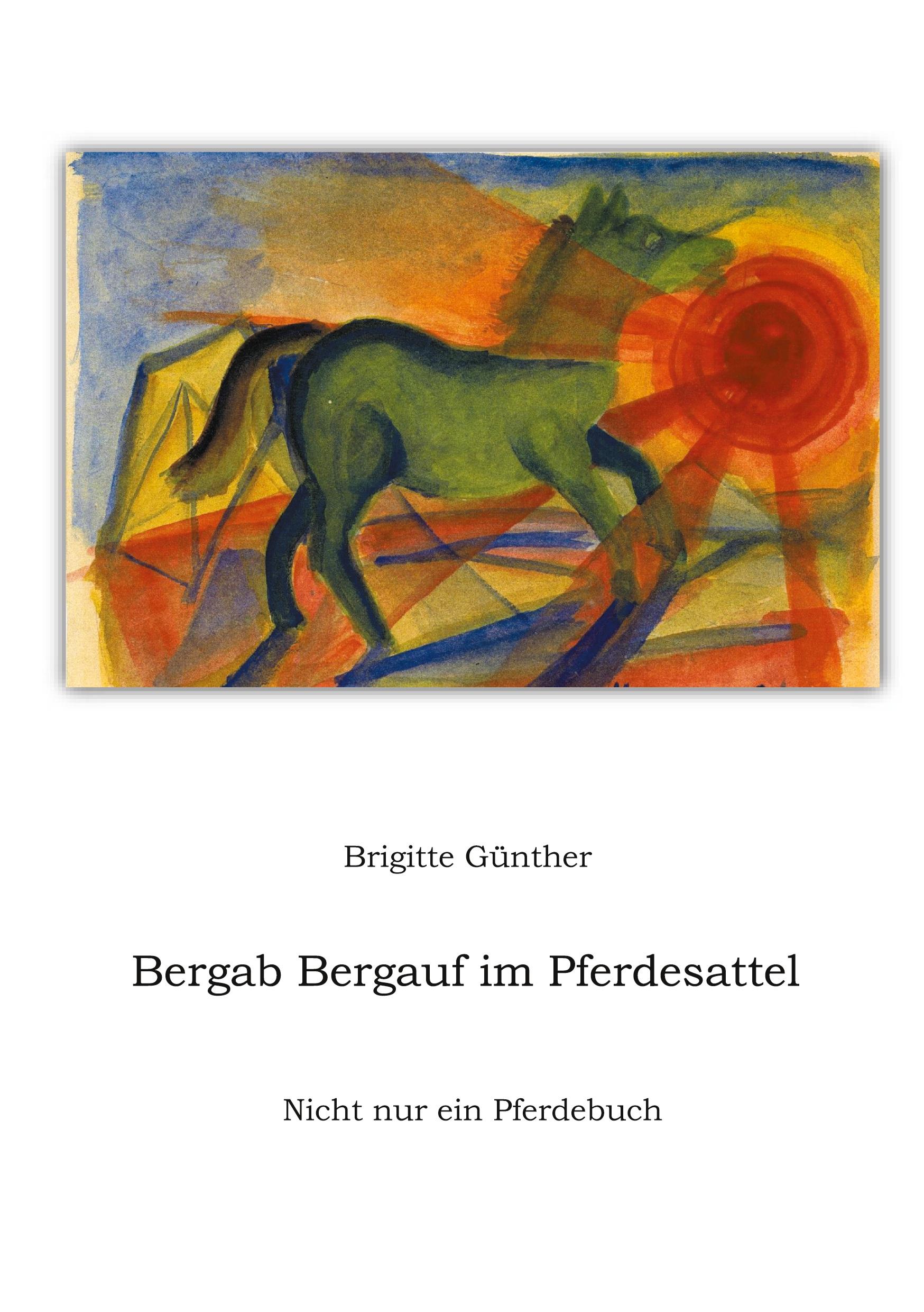 Vorderes Coverbild Bergab Bergauf im Pferdesattel