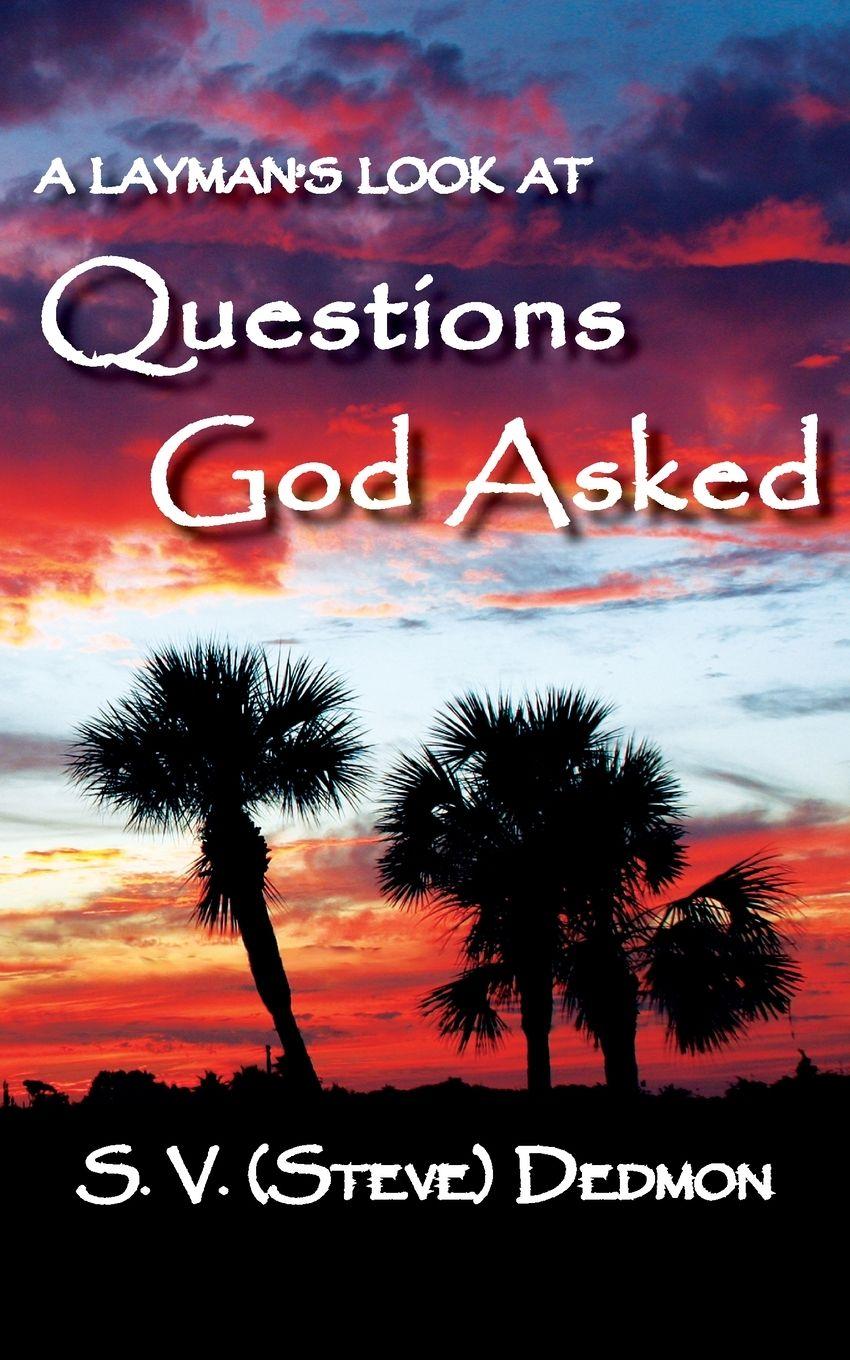 Vorderes Coverbild A Layman's Look at Questions God Asked