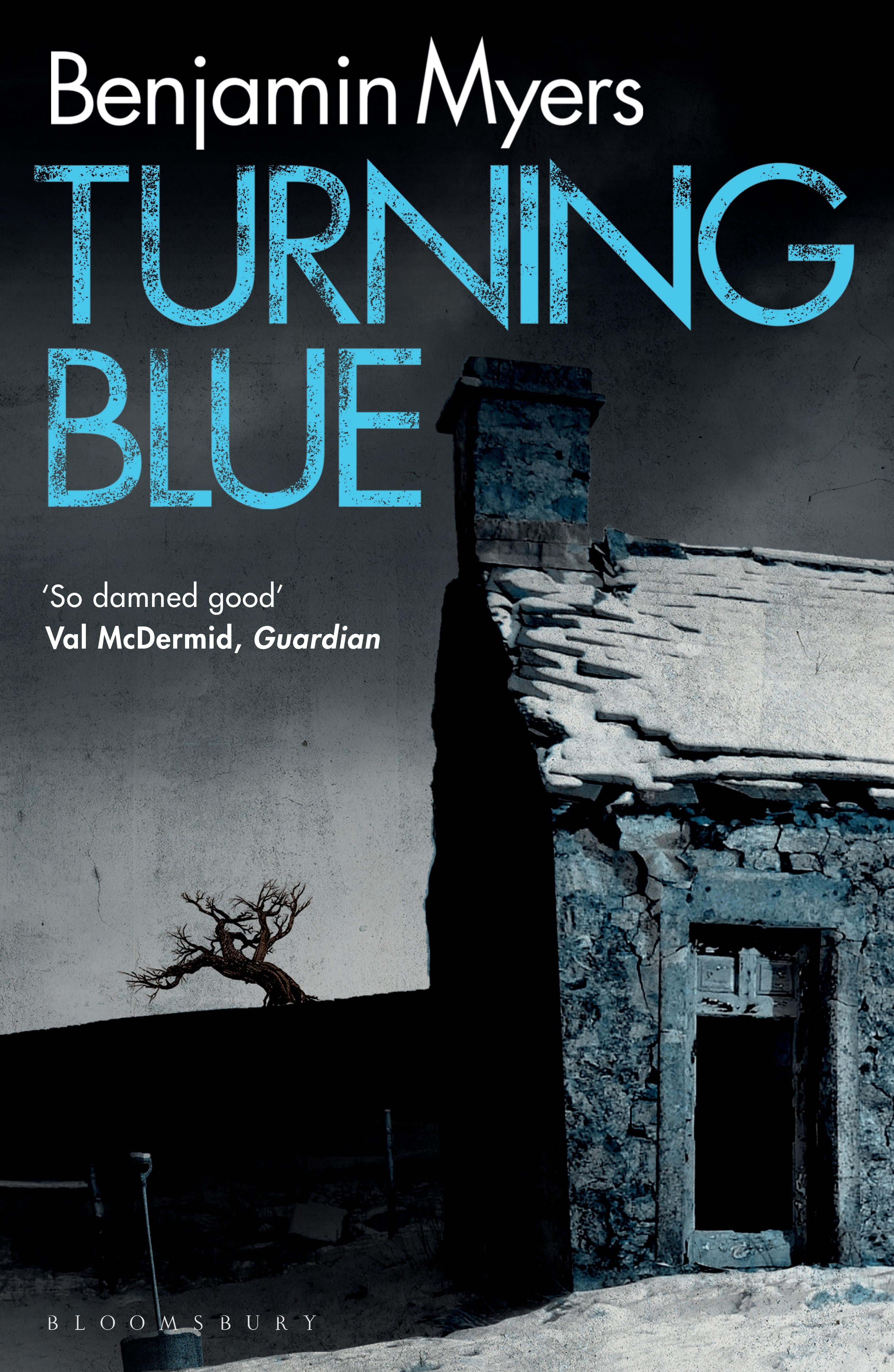 Vorderes Coverbild Turning Blue