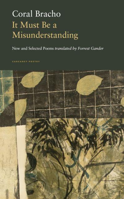 Vorderes Coverbild It Must Be a Misunderstanding