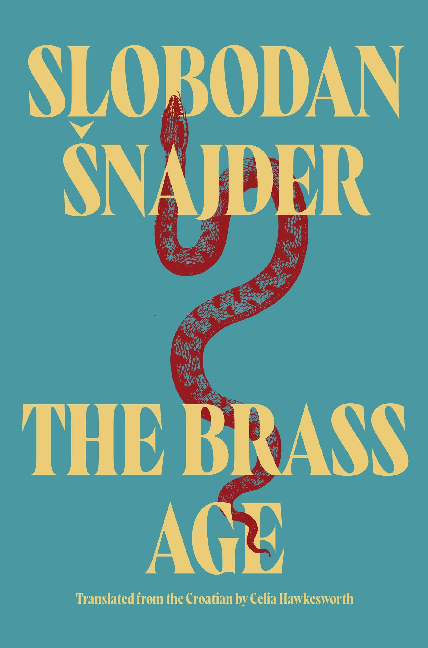 Vorderes Coverbild The Brass Age