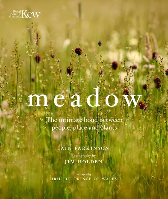 Vorderes Coverbild Meadow
