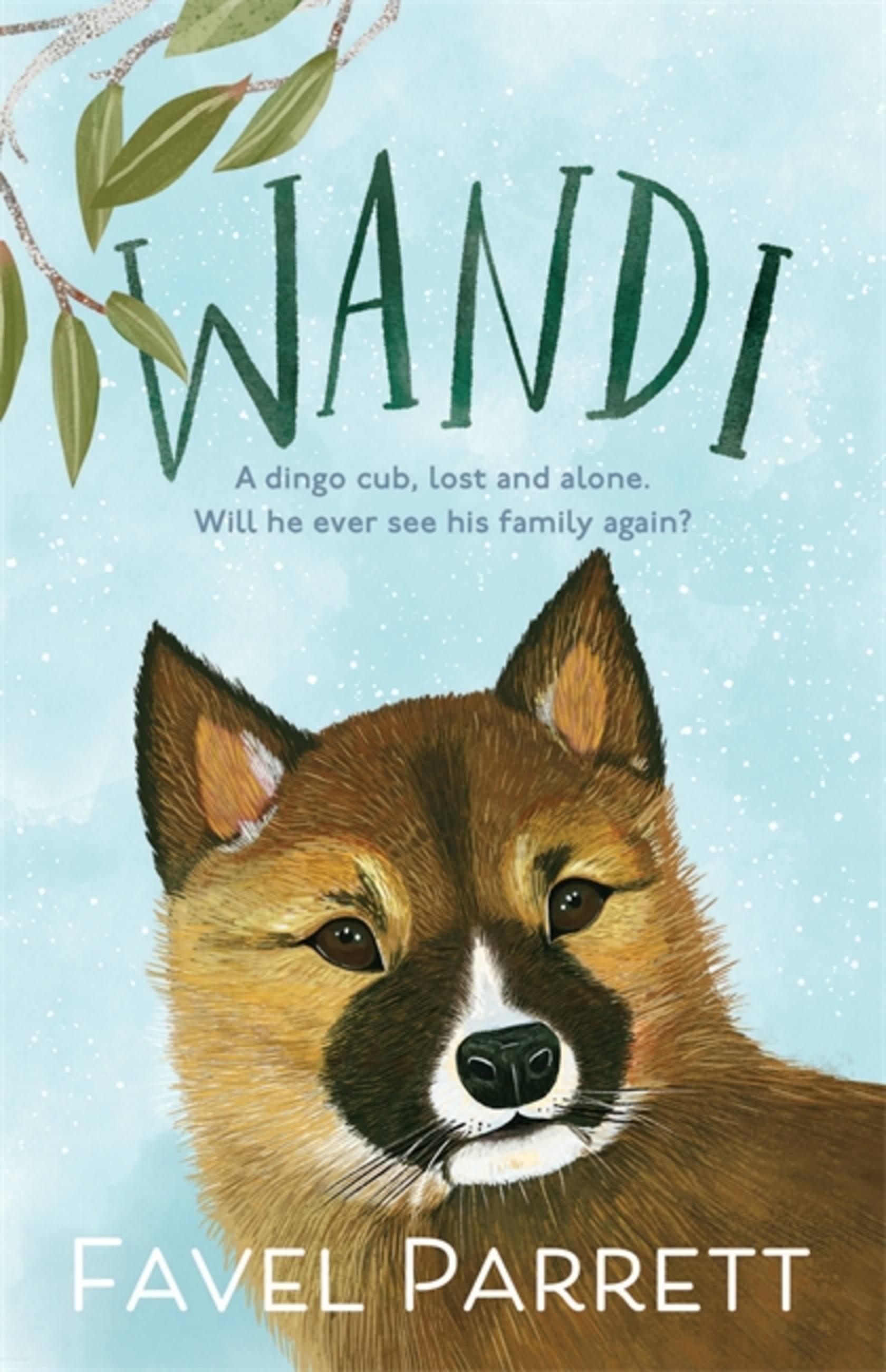 Vorderes Coverbild Wandi