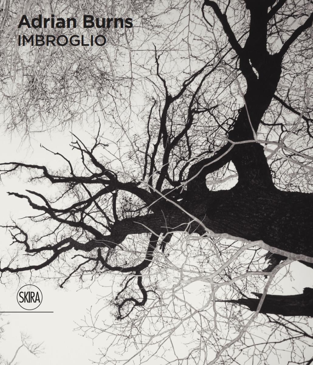 Vorderes Coverbild Adrian Burns: Imbroglio