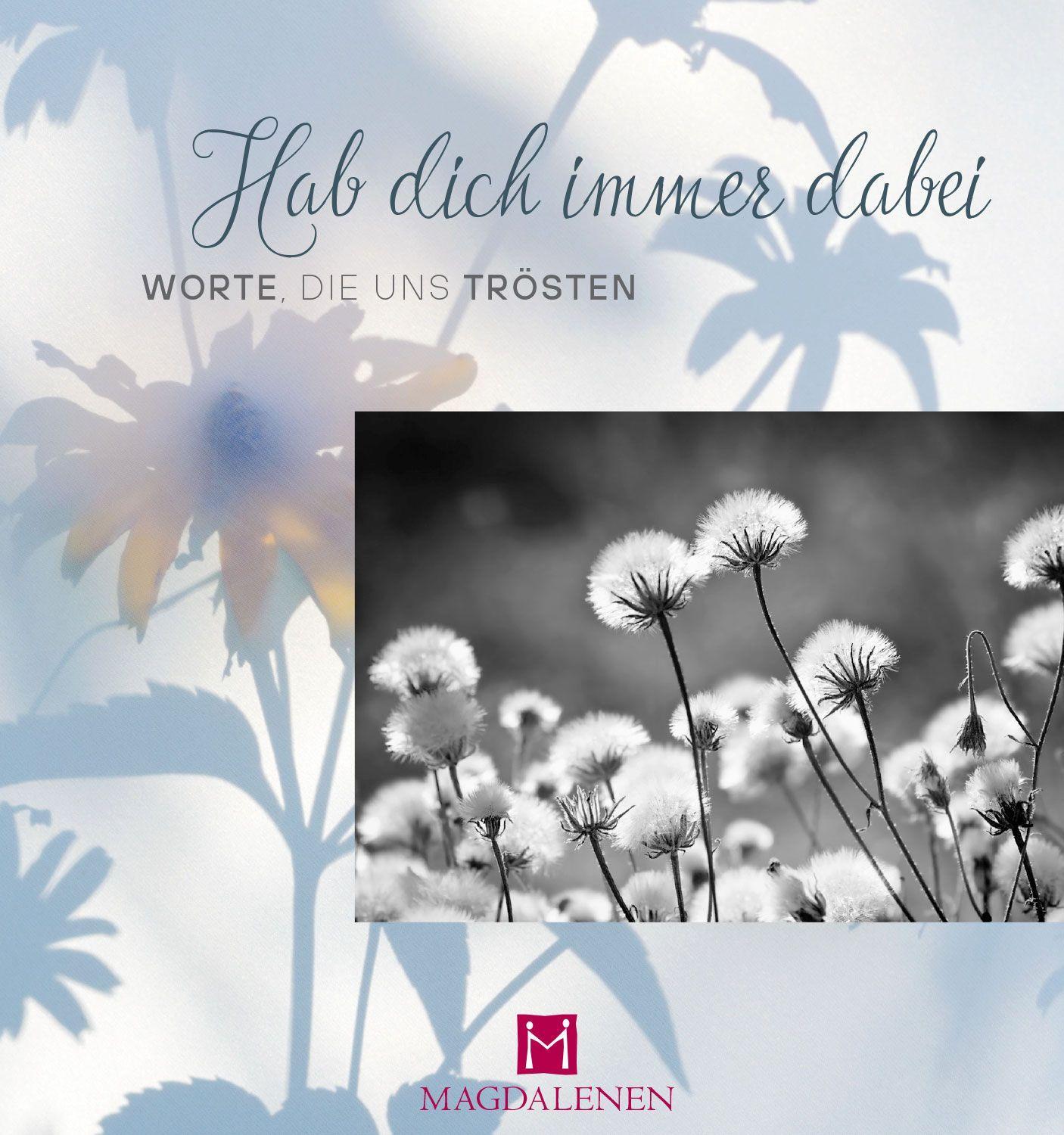 Vorderes Coverbild Hab dich immer dabei