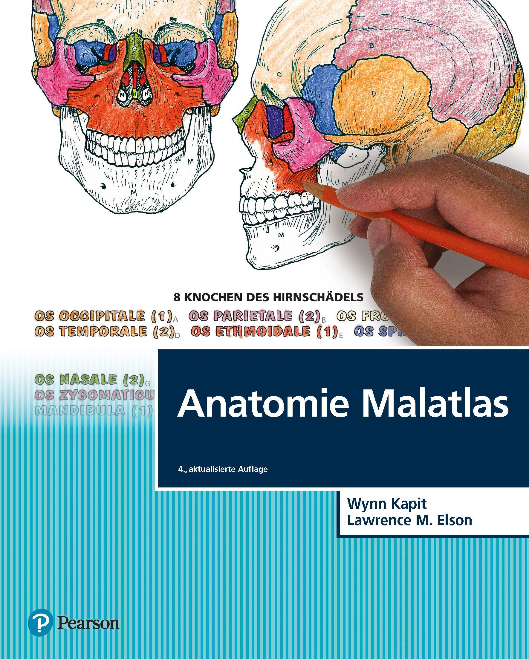 Vorderes Coverbild Anatomie Malatlas